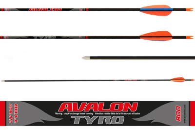 Avalon Tyro karbonska strijela 30 spine 800-1