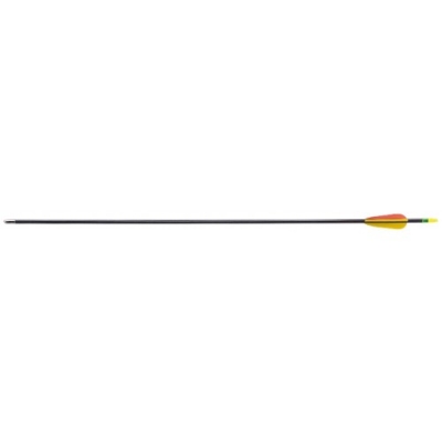 Fiberglas arrow 30-1