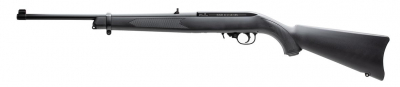 Ruger 10/22 air rifle-1